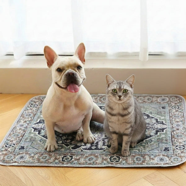 PupiloMania™ - Ostatnia mata na siuśki, jakiej będziesz potrzebować